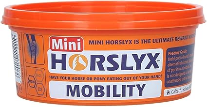 HORSLYX Mobility Lick
