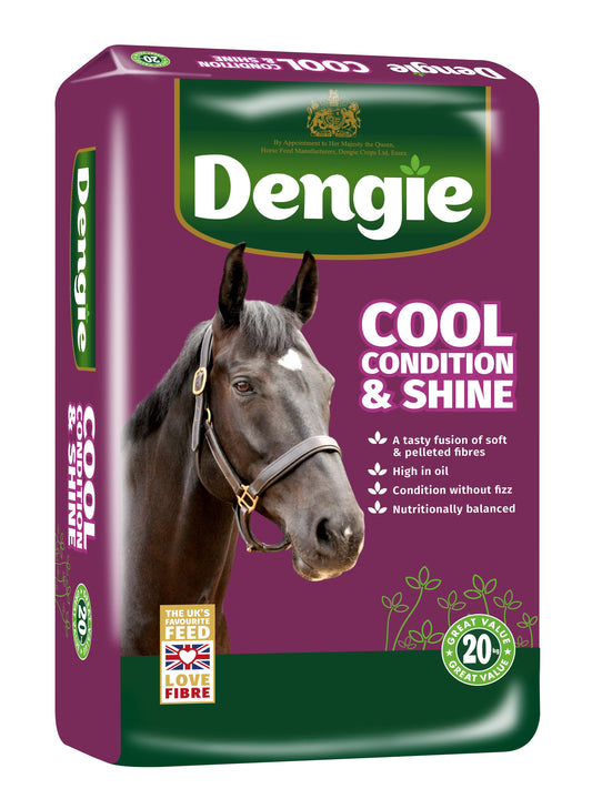 DENGIE Cool Condition & Shine