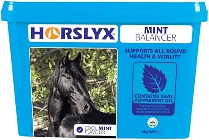 HORSLYX Mint Lick