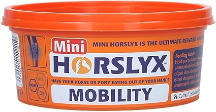 HORSLYX Mobility Lick