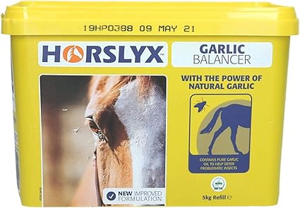 HORSLYX Garlic Lick