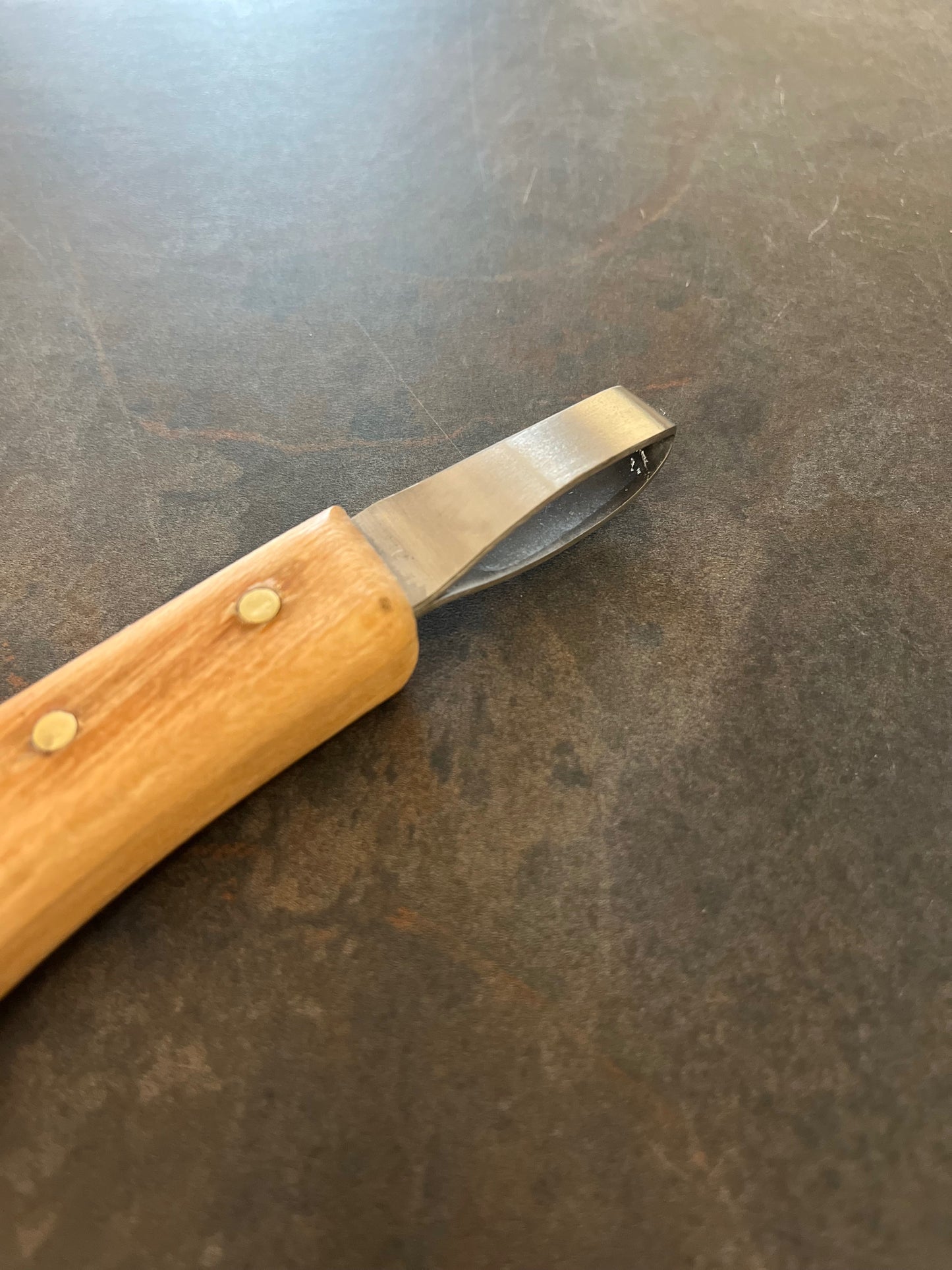 Hall EasE Grip Loop Knife