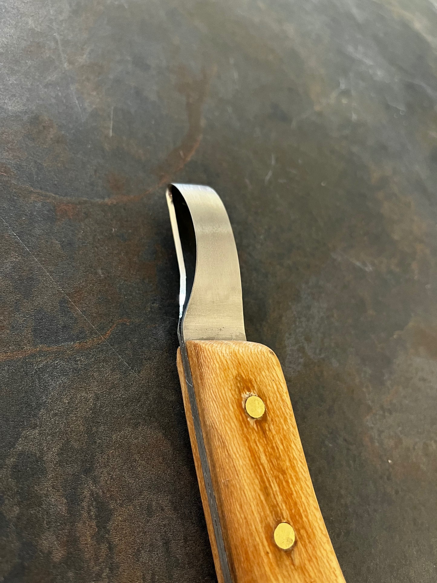 Hall EasE Grip Loop Knife