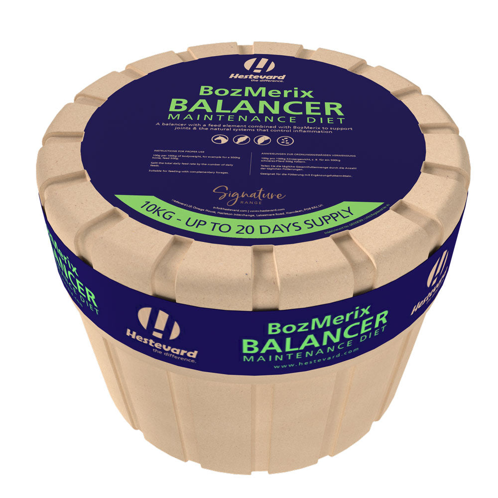 BozMerix Balancer (10kg)