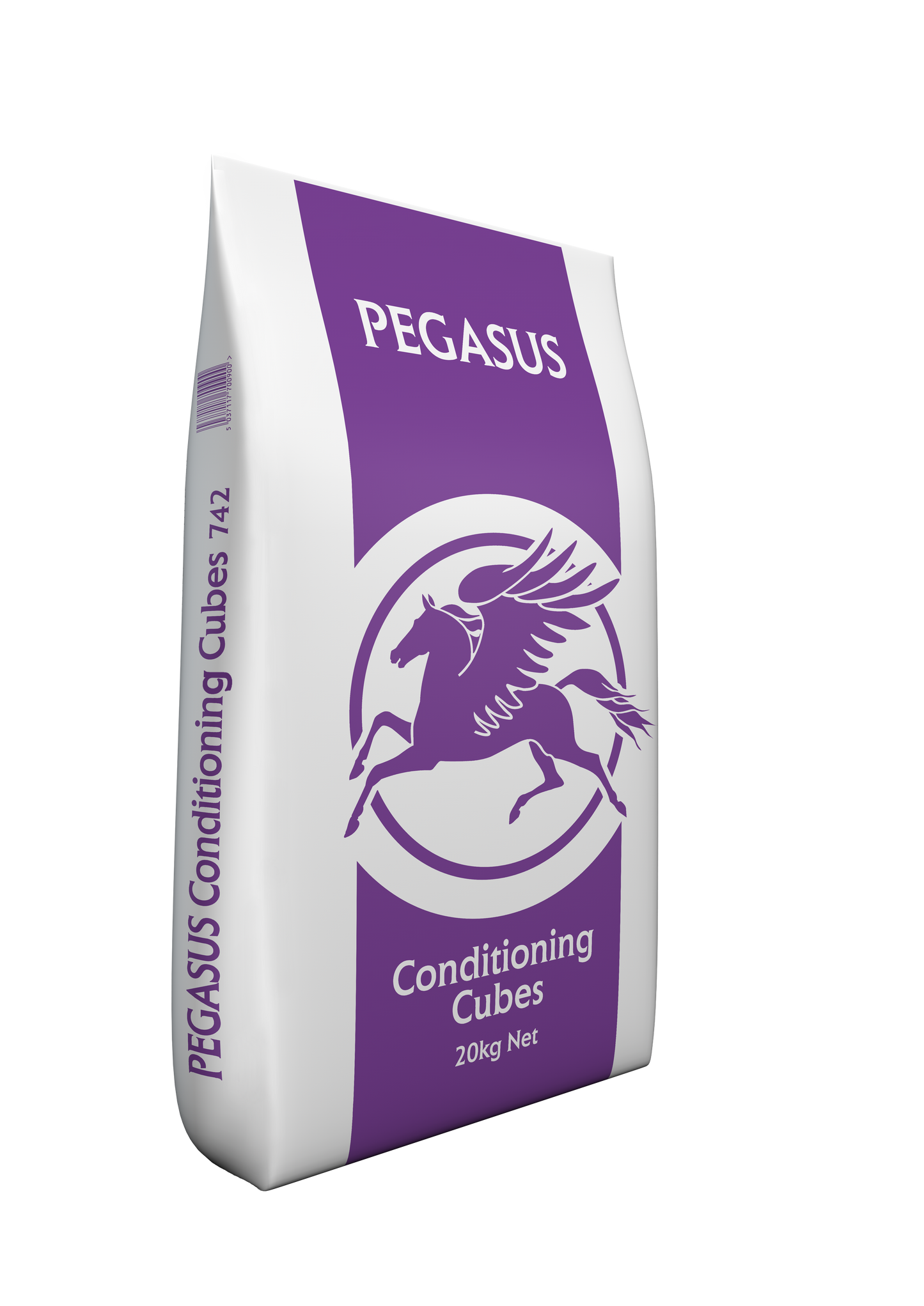 PEGASUS Conditioning Cubes