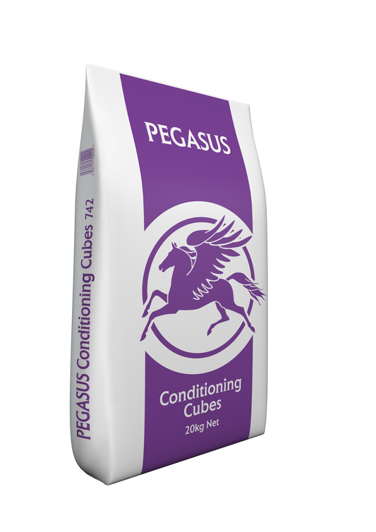 PEGASUS Conditioning Cubes