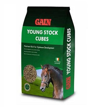 GAIN Youngstock Cubes (25kg!)